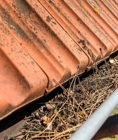 Çatı Oluk ve Çatı Temizliği Nedir?